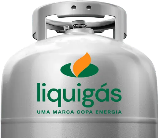 Botijão P13